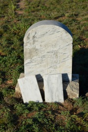 Tombstone Bradshaw, TX